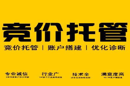 某大型企业选择SEM竞价代运营公司的决策过程与效果评估